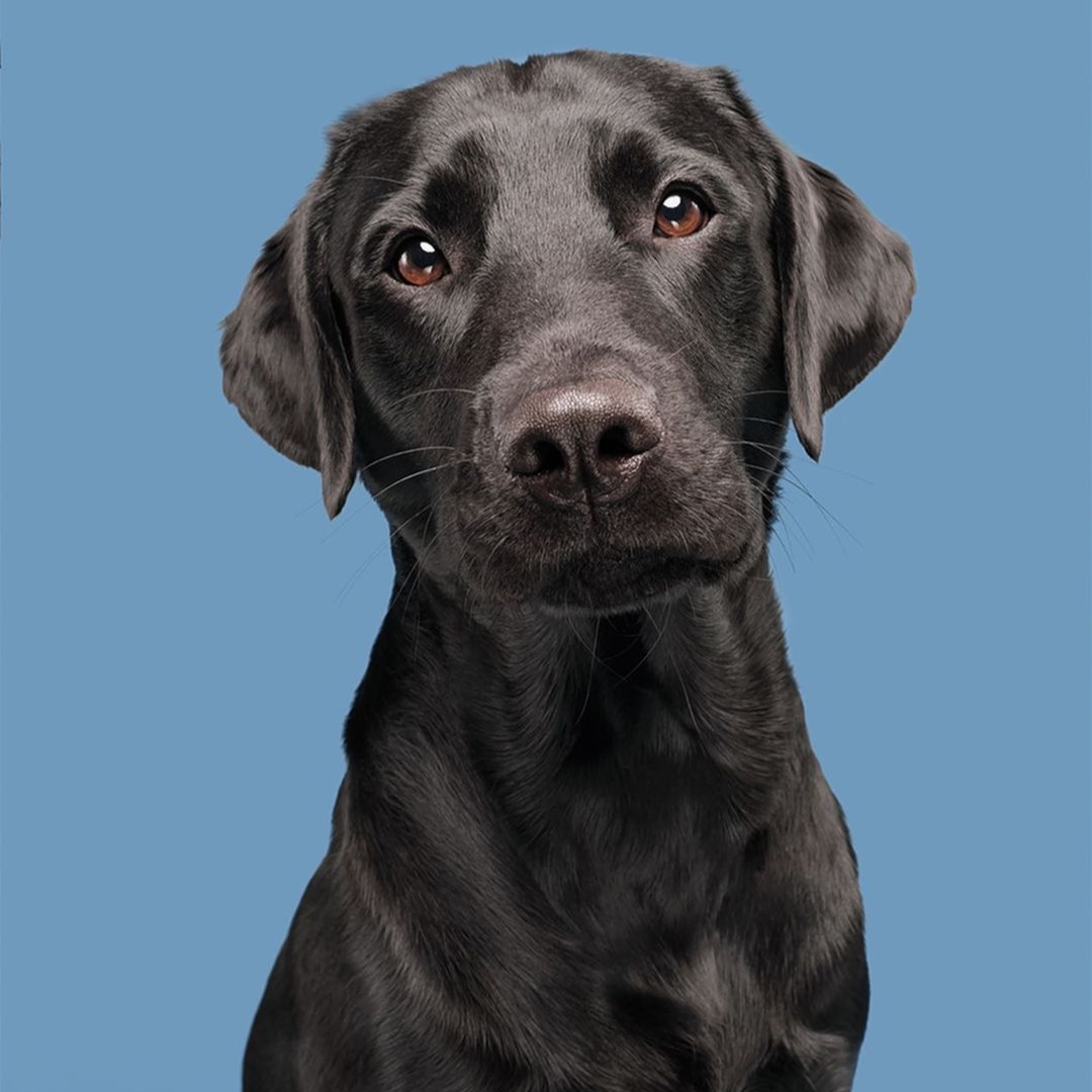 Coco 4